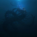 🌊Sea Shanty’s🌊