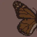 FlutterCard Café ⋆.˚ 𐦍