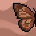 FlutterCard Café ⋆.˚ 𐦍