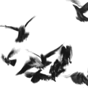 Discovery icon for flesh wound Discord server