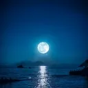 Moonlight Garden