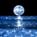 🌙𝓣𝓱𝓮 𝓶𝓸𝓸𝓷𝓵𝓲𝓰𝓱𝓽 𝓼𝓪𝓷𝓬𝓽𝓾𝓪𝓻𝔂🌙