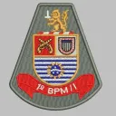 1º BPM/I VIRTUAL