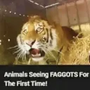 AGL GMVIA WAR SCENARIO Discord server icon