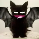 ; bat’s cave