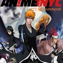 ANYC 2025 Bleach Meet Up