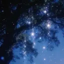 𐬺𐬻✧𝐒𝐓𝐀𝐑𝐒✧𐬻𐬺