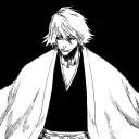 Gotei XIII