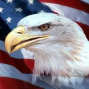 American Political Simulator