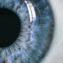 The Eye SMP