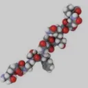 .gg/peptides