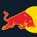 Red Bull Racing F1 avatar