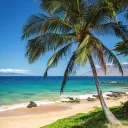 🏝 Hitters Paradise 🏝