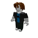 BOT FOLLOWERS SERVICE