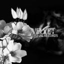 ᭪  𝗩𝗘𝗟𝗩𝗘𝗧(벨벳) 𝗥𝗘𝗖𝗢𝗥𝗗𝗦 𓂃 ܀˙ ꫂ Discord server icon