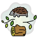 HEDGECULT
