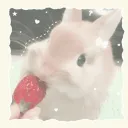 ♡⋅₊˚.🍓🐇 𝑠𝑡𝑟𝑎𝑤𝑏𝑒𝑟𝑟𝑦 𝑏𝑢𝑛𝑛𝑖𝑒𝑠 ♡⋅₊˚.🍓🐇