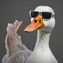 Cool Chaos Club Discord Server