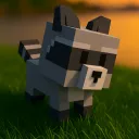 racoon