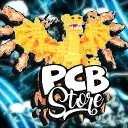 PCB STORE