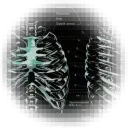 :             𝘜𝘛𝘖𝘗𝘐𝘈.   👁  [ARCHIVED]