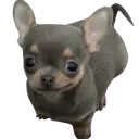 𝙎𝙤𝙪𝙡’𝙨 𝙎𝙖𝙣𝙘𝙩𝙪𝙖𝙧𝙮 ᶻ 𝗓 𐰁 discord icon