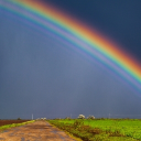 Lesbian/ Bisexual dating