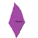 Plasma Projects