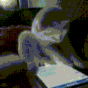tweet town