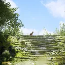 Project 43: Stray Multiversal RP