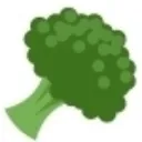 🥦花椰菜大農田