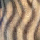 れいくのサーバー