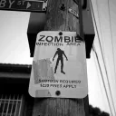 the safe zone 🧟