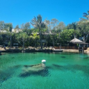 CryptoWire™ Discord server icon