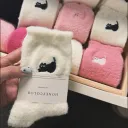 The Sock Drawer