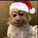 Mangonadas Discord server icon