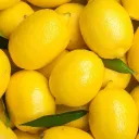 The Lemon's