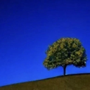 ✿ ⁔⁔ Liminal DreamScape