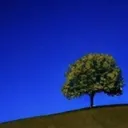 ✿ ⁔⁔ Liminal DreamScape