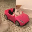 Ride Or Die