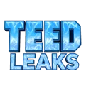 TeedLeaks | #1 Leaking Server