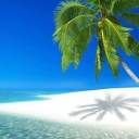 Island Paradise