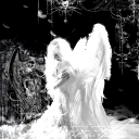 𝕽𝖊𝖛𝖎𝖛𝖆𝖑 🪽 Discord server icon