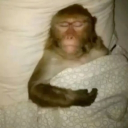 babapirolar