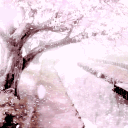sakurass