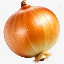 onion Discord server icon
