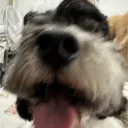 stream server