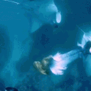 Sappho’s Last Dance 🐚 Discord server icon