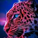 Project Cheetah Competitive (PCC)
