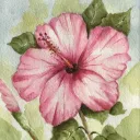 °❀.ೃ࿔* hibiscus || stox